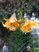 Foto: Dr. Peter Müller